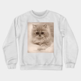 Somerset in Sepia Crewneck Sweatshirt